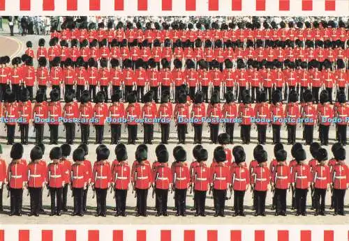 D287540 London Trooping the Colour Thomas Benacci Ltd