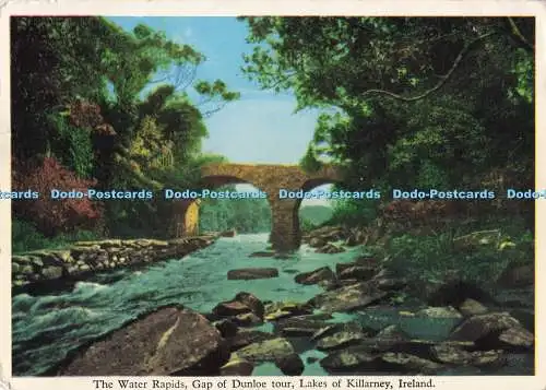 D287547 Irland Seen von Killarney Gap of Dunloe Tour The Water Rapids Killarney