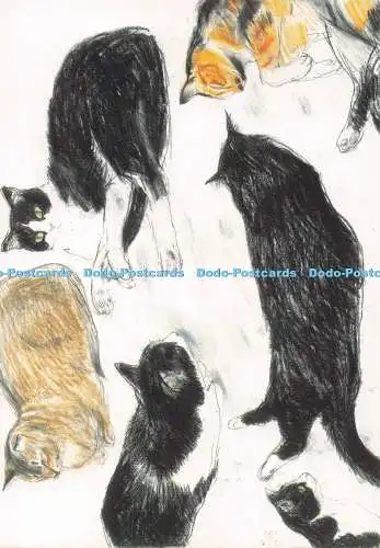 D283050 Studies of Cats Canns Down Press Royal Academy of Arts Elizabeth Blackad