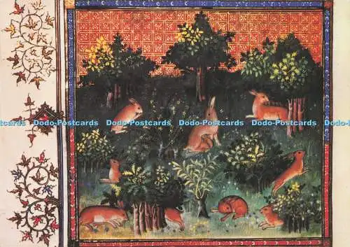 D283053 Paris Bibliotheque Nationale Kaninchen aus Livre de la Chasse de Gaston P