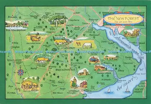 D280673 The New Forest Old Yet Ever New Map Map J Salmon Ltd Watercolour M F Pec