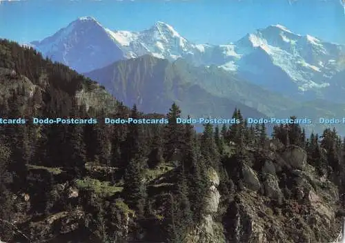 D287629 Interlaken Eigermönch Jungfrau 1965