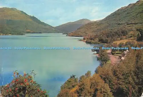 D285414 Argyll Loch Eck View befindet sich in Coylet an der Straße von Dunoon nach St