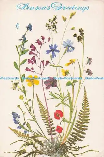 D278572 Saisongrüße Palphot Postkarte