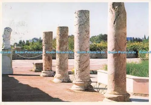 D287762 Jardin Romain Carthage Tunisie Spectrum 1995
