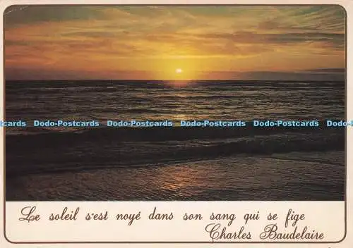 D285553 Littoral de la Manche et de la Mer du Nord Coucher de Soleil French Chan