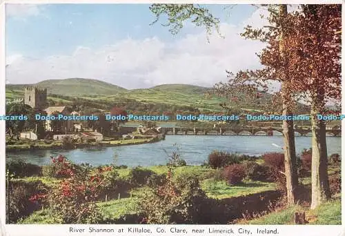 D283290 Ireland Co Clare in der Nähe von Limerick River Shannon bei Killaloe Irish Printers