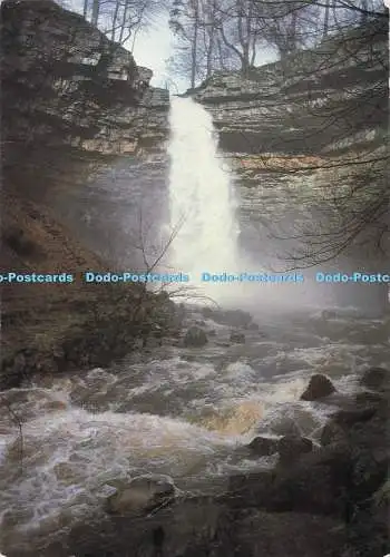 D287795 Yorkshire Dales National Park Wensleydale Hardraw Force 1984