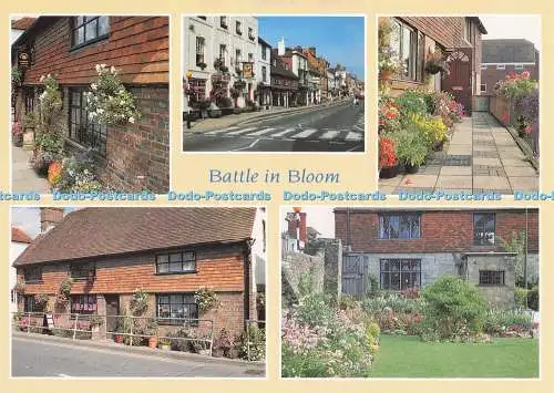 D280948 Battle in Bloom East Sussex The Almonry Judges of Hastings C 14705 Multi