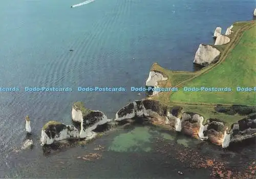 D285729 Dorset Studland Handfast Point The Chalk Stacks of Old Harry Turf Rick R