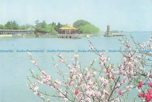 D287961 Frühling kommt in den Li Yuan Li Garten