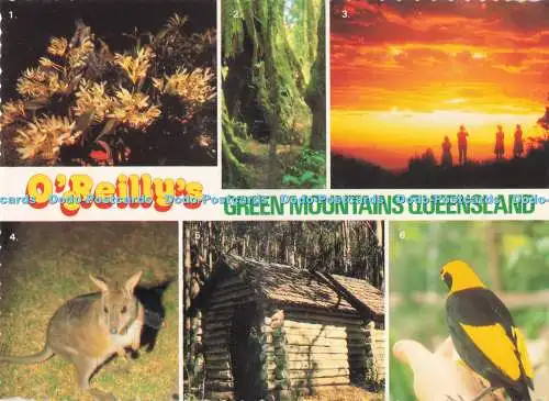 D287964 O Reilly Green Mountains Queensland Orchideen Sonnenuntergang arktische Strandbäume Pa
