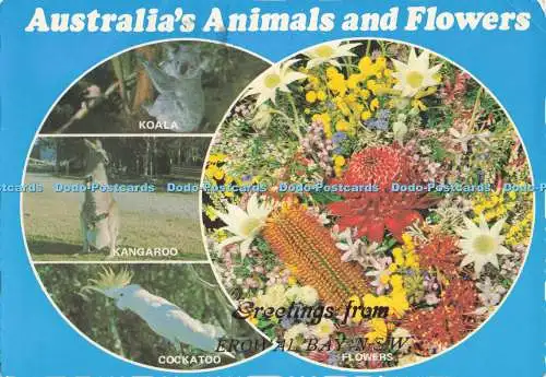 D281085 Australien Tiere und Blumen Grüße aus Erowal Bay Blumen Känguru