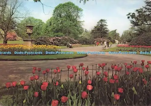D281102 Kew Royal Botanic Gardens Tulpen und Rhododendren im Frühjahr aus dem So