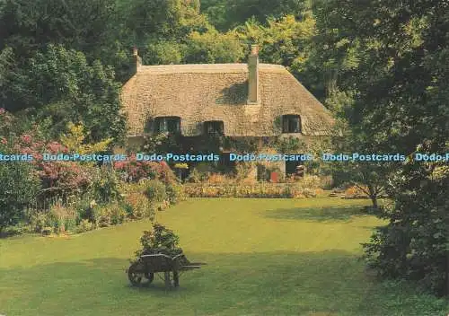 D285775 Milton Abbey Green Walk Cottage J Salmon Ltd Cameracolour 1993