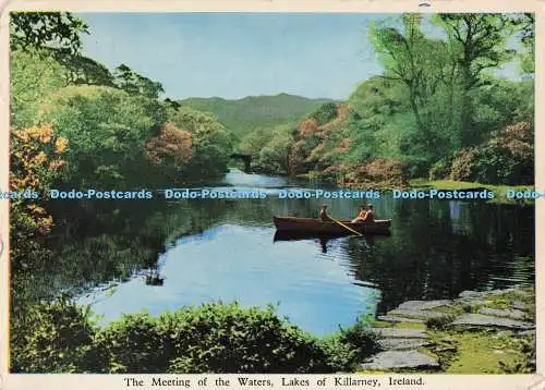 D281106 Irland Seen von Killarney Das Treffen der Gewässer Killarney Druck