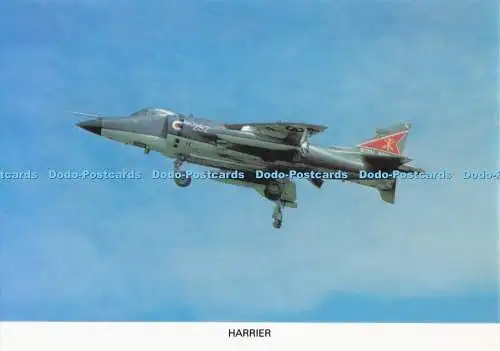 D281155 BAe Sea Harrier F R S Mk 1 Einzelsitz V STOL Schiffsbrett Multirollenkampf
