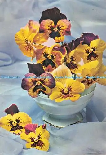 D285872 Blumen in der Vase Garami Naturfarben 1969