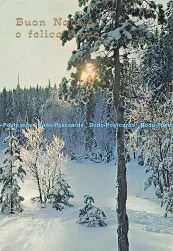 D285874 Buon Natale e Felice Anno Forest Winter Cecami