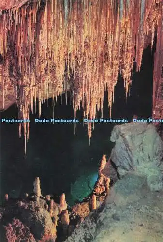 D283590 Cuevas del Drach Porto Cristo Mallorca Chinese Mantilla Clise Servera Fo