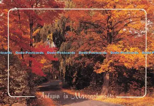 D285878 Herbst in Massachusetts Klein Postkarten Service Dick Dean 1993