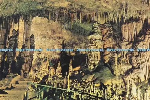 D283594 Cuevas del Drach Porto Cristo Mallorca Mönch und Kaktus Rieusset S A Clis