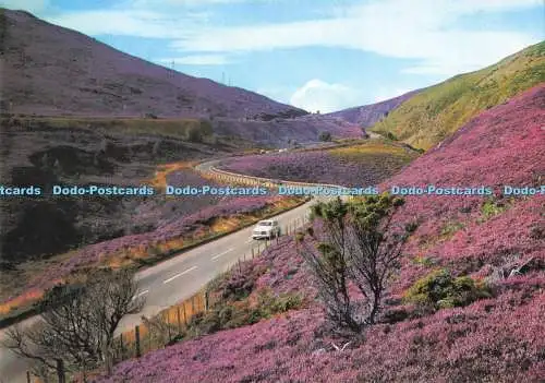 D285883 Inverness Shire The Slochd Pass between Cambridge John Hinde Ltd Cornwal