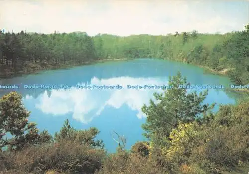 D285893 Dorset The Blue Pool near Wareham J Arthur Dixon
