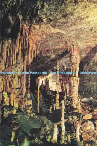 D283628 Cuevas del Drach Porto Cristo Mallorca Fairy Theatre Rieusset S A Foto M