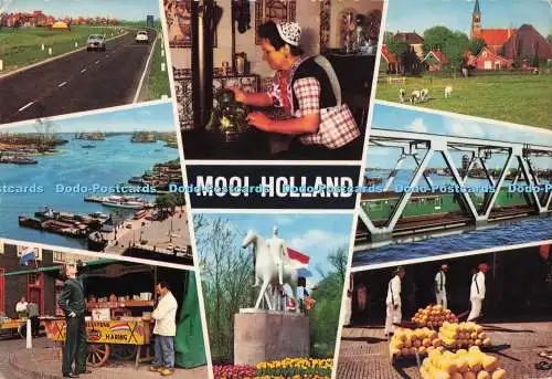 D281250 Mooi Holland Vita Nova Multi View 1967