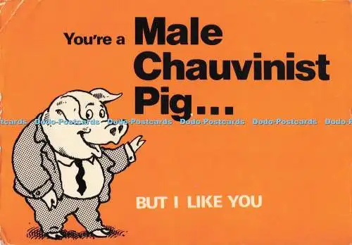 D281253 You re a Male Chauvinist Pig But I Like You Photo Precision Limited