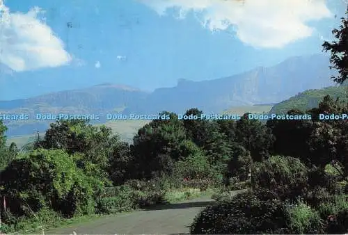 D283640 Südafrika Drakensberge unterhalb der Spaltspitze in den Drakensbergen erstreckt sich über eine