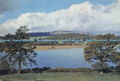 D281259 Merionethshire Arenig Fawr und Bala See Hier von der Nähe von Llanuwchlly gesehen