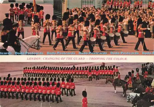 D288048 London. Wachablösung. Trooping the Colour. Kardorama. Töpfer B