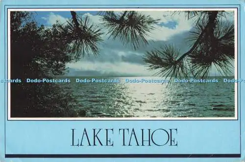 D288260 Lake Tahoe. Reno Tahoe Specialty. Regal. Mike Roberts. Brent