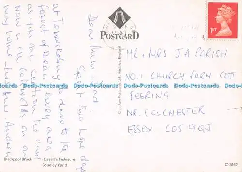 D288263 Herbst im Wald von Dean. Blackpool Brook. Richter. C. 11962. Multi V