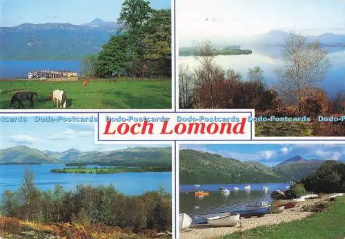 D288272 Loch Lomond. Herbst über dem Loch. Whiteholme. Dundee. A Hail Caledonia