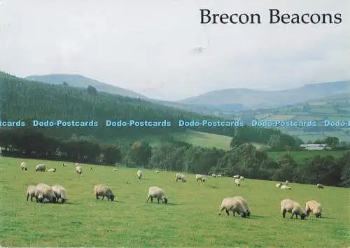 D288288 Brecon Beacons. Die Leuchtfeuer von Bwlch. Richter. C. 2542