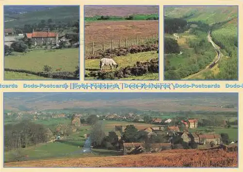 D288290 Heartbeat Country. North Yorkshire. Richter. C. 14734. Multi View
