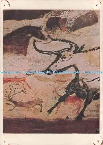 D288333 Frankreich. Prähistorische Malerei in den Höhlen von Lascaux. Grotte De Lascaux.