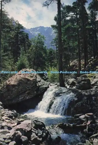 D288386 Asco. Le Torrent de Manica du Monte Carlo. La Cigogne. Andre Leconte