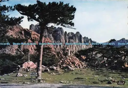 D288387 Des Arbres Echevales Par le Vent. La Cigogne. Andre Leconte