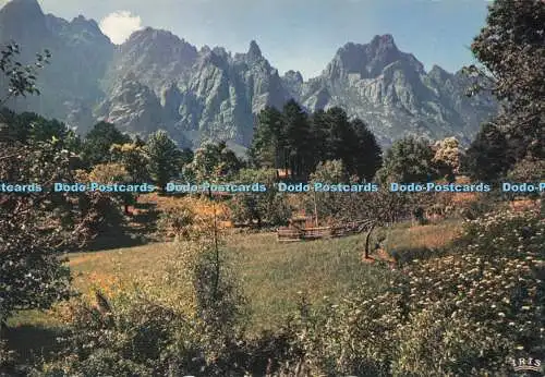 D288388 Les Prairies Verdoyantes Sous Les Aiguilles de Bavella. La Cigogne. Andr