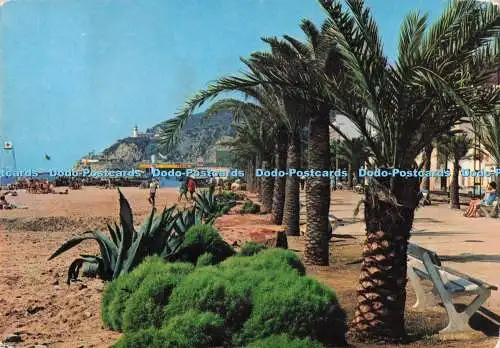 D288427 Calella. Barcelona. Espana. Las Palmeras Promenade. J. Planchart