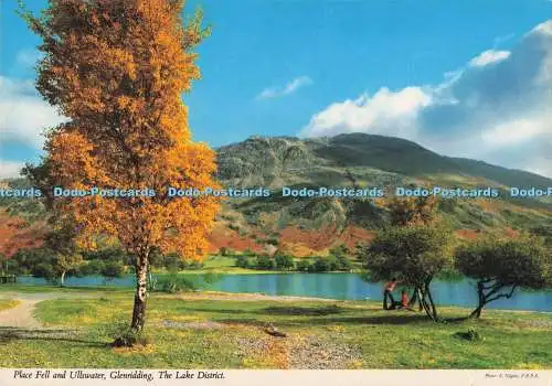 D288432 The Lake District. Platz Fell und Ullswater. Glenridding. John Hinde. E.