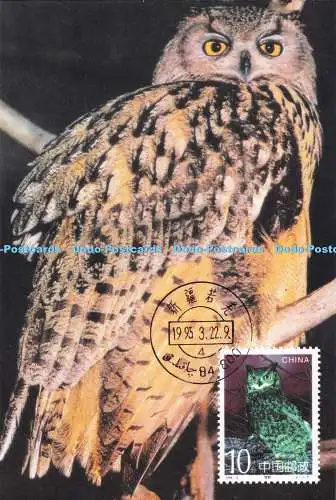 D288453 Rubo Bubo. Zhang Shiqi