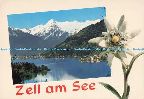 D288575 Zell am See. Alpenstadt. Gegen Kitzsteinhorn. Land Salzburg. Monopol. Sc