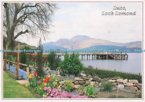 D288613 The Pier at Luss. Loch Lomond. Whiteholme. Dundee