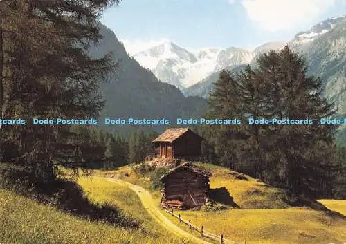 D290917 Val D Herens. Wallis. Jaeger