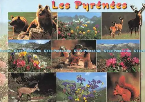 D290962 Les Pyrenees. Wie De Coeur. Multi View